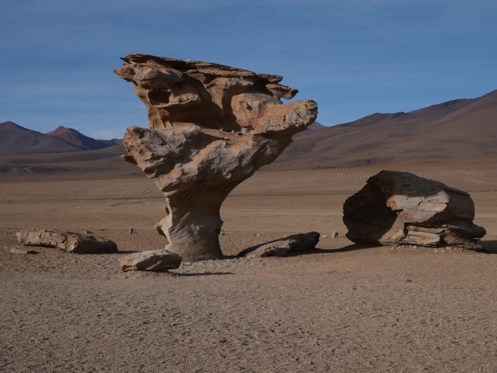 arbol_de_piedra