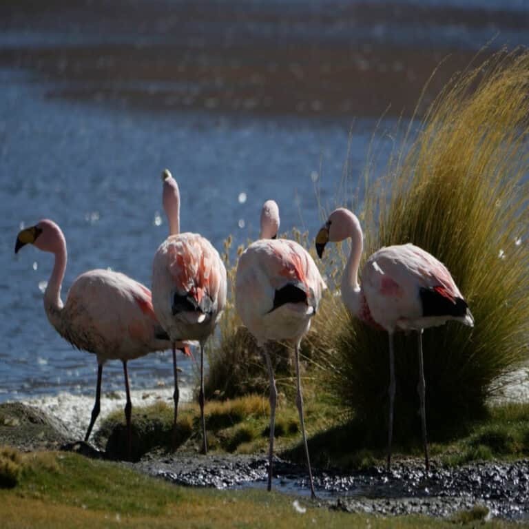 lagunas_de_colores