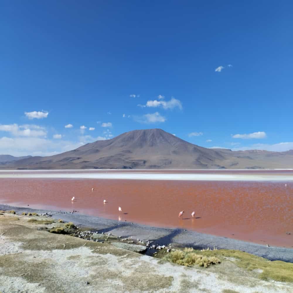 Laguna Colorada