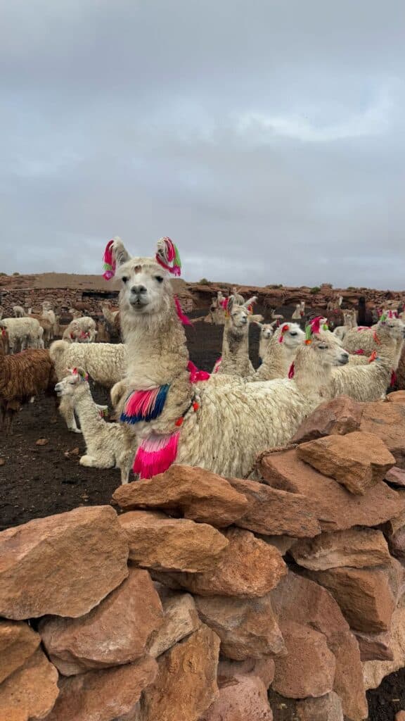 costumbres_de_mi_tierra