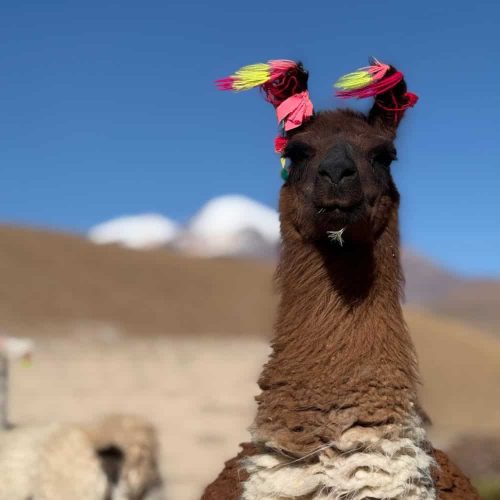 costumbres_de_mi_tierra